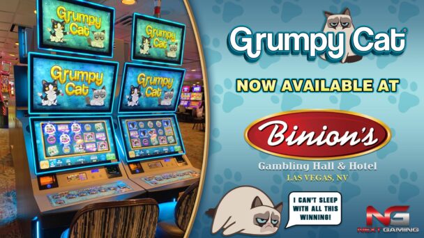 Grumpy Cat Slot now available at Binion’s Gambling Hall and Hotel