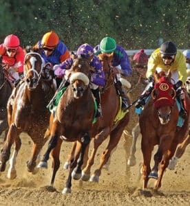 Horses Running