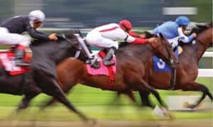 Horses Running