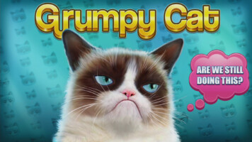 Grumpy Cat Gameplay